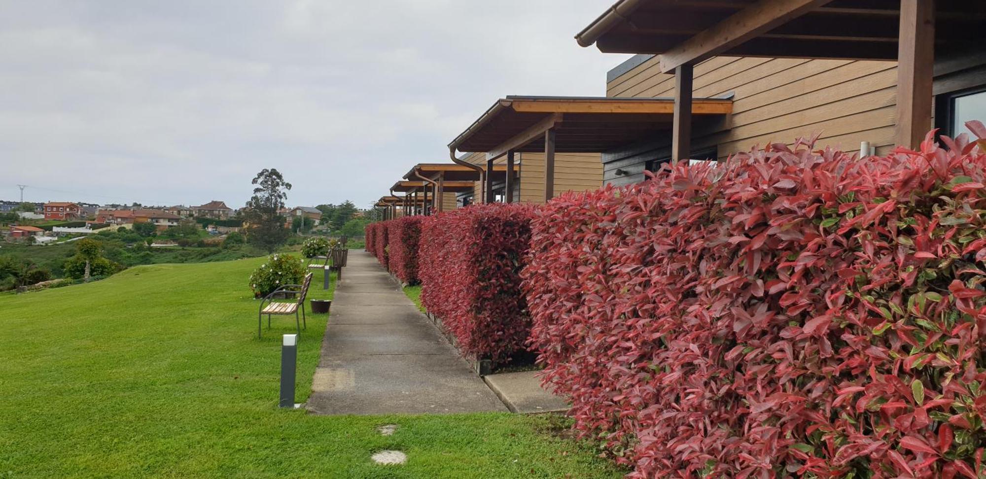 Bungalows Elma Suances Dış mekan fotoğraf