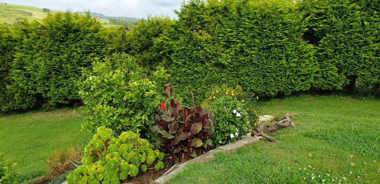 Bungalows Elma Suances Dış mekan fotoğraf